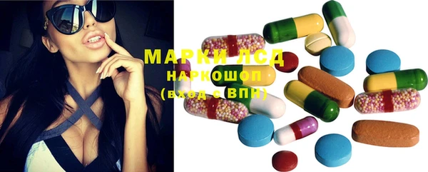 гидра Михайловка