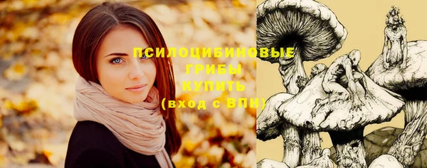 мефедрон мука Медвежьегорск