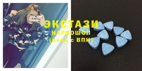 гидра Михайловка