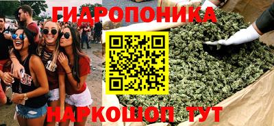 марихуана Аргун