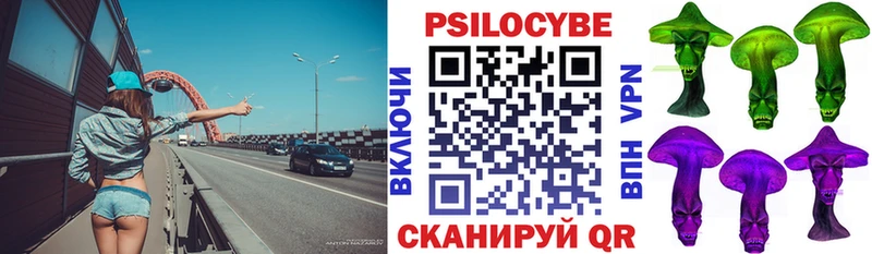 Псилоцибиновые грибы ЛСД  blacksprut ONION  Сунжа 