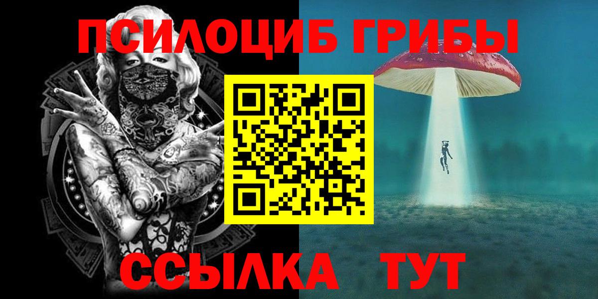 где можно купить наркотик  Галлюциногенные грибы Psilocybe  Вход с VPN  Сунжа 