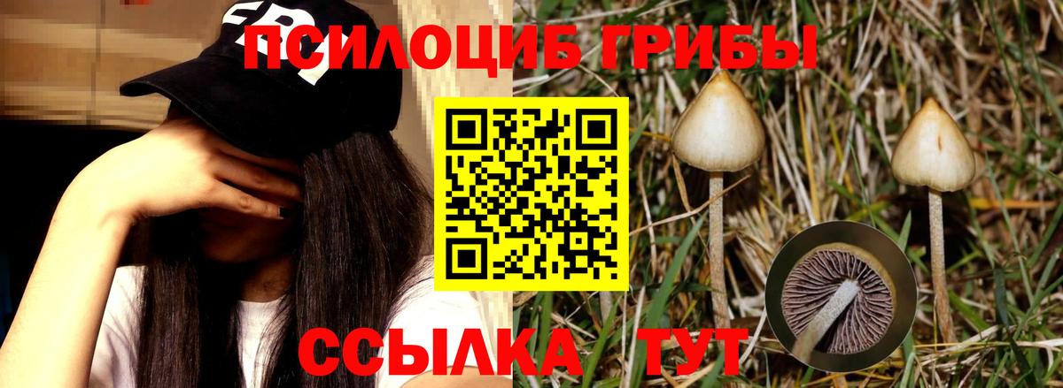 МЕТАДОН Сунжа