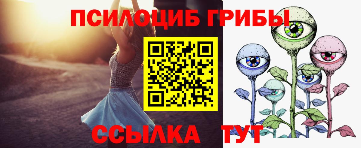 Псилоцибиновые грибы прущие грибы  Сунжа 
