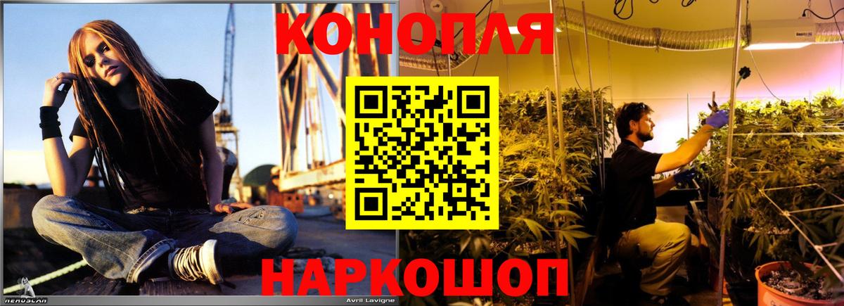 МАРИХУАНА семена  Вход с VPN  Конопля Ganja  Сунжа  Шишки марихуана индика  Марихуана AK-47 